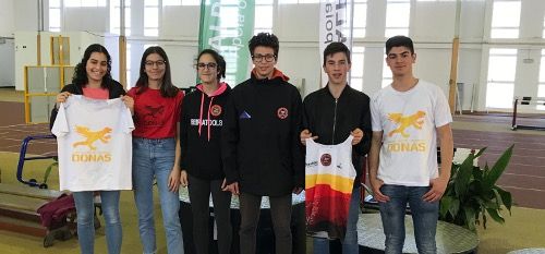 Software - Sample 1 for three columns