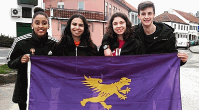 Software - Sample 2 for three columns