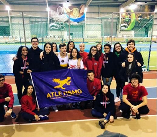 Software - Sample 1 for three columns